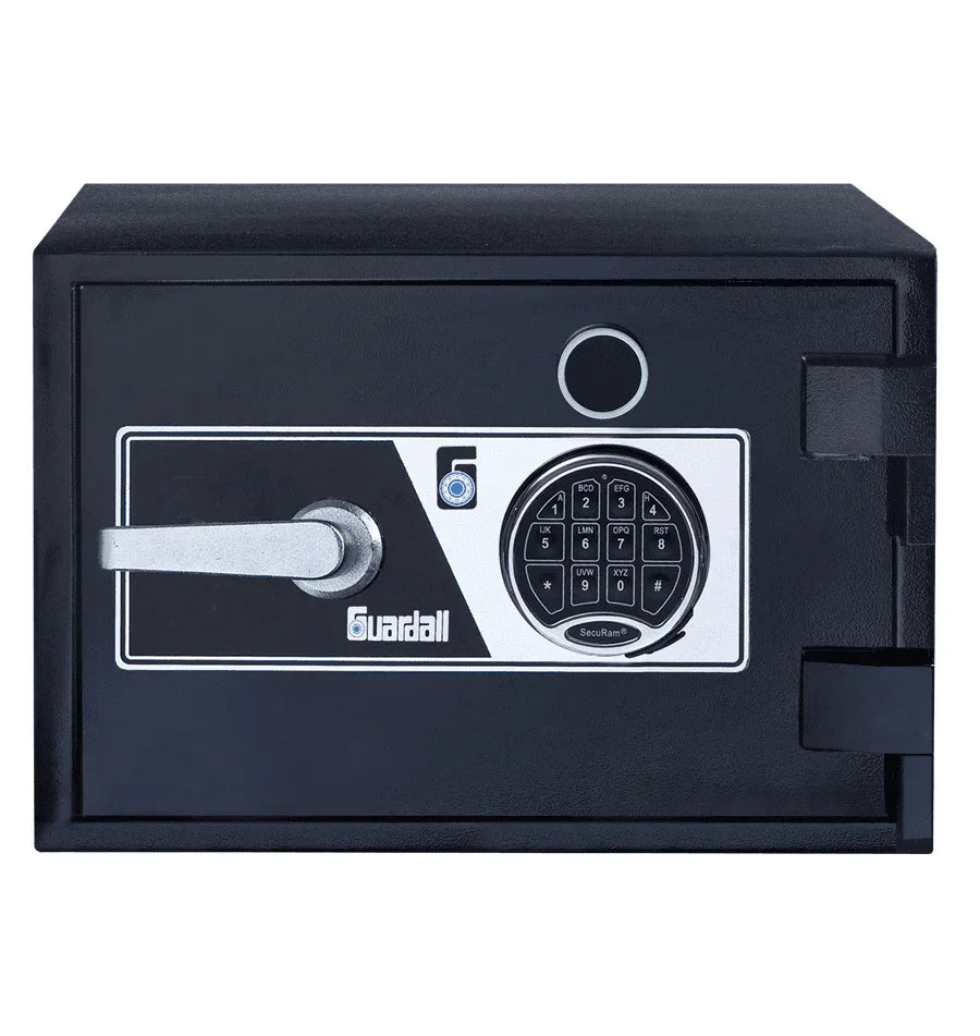Guardall Safe BFG100-S3