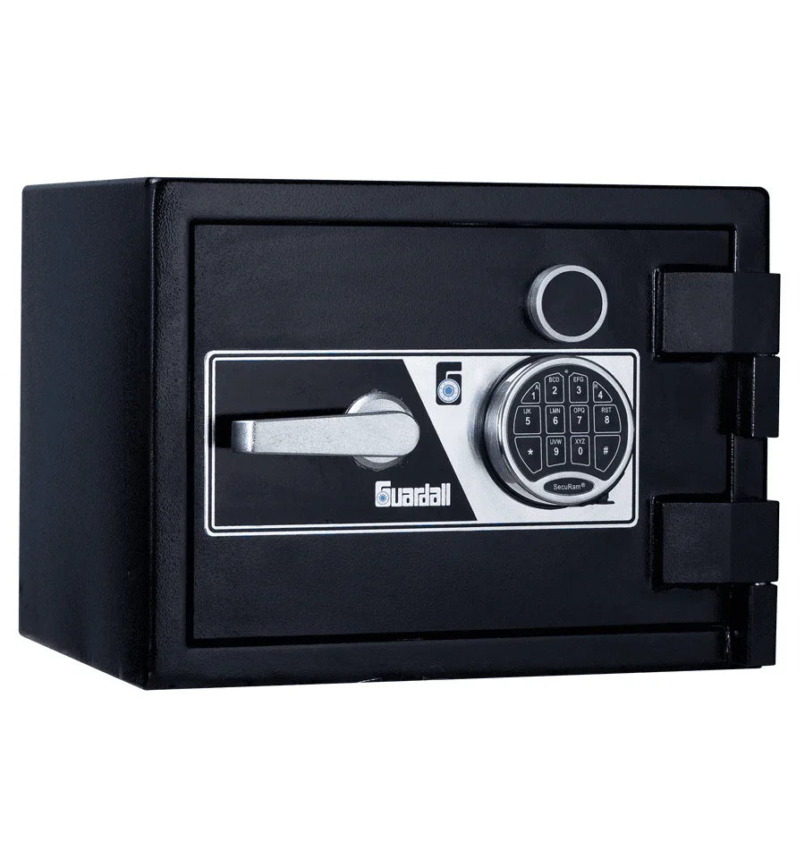 Guardall Safe BFG100-S3