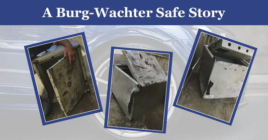 a burg-wachter safe story