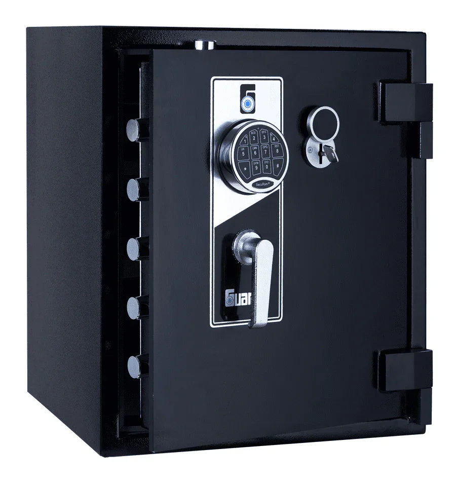 Guardall Safe BFG600-S3