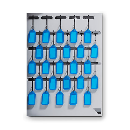 LockIT Key Cabinet Mini 25 Slot Panel
